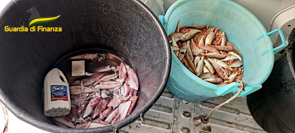 Blitz alla pescheria di Catania: rinvenuti pescato illegale e candeggina per pulirlo